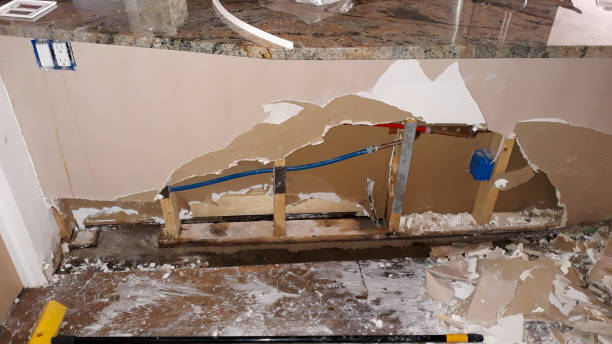 Best Flood restoration services  in Columbus Grove, OH