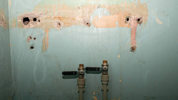 Best Fire Damage Restoration  in Columbus Grove, OH