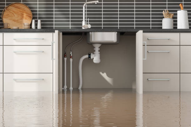 Best Ceiling water damage repair  in Columbus Grove, OH