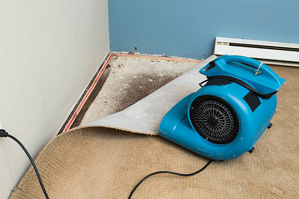 Best Water damage restoration cost  in Columbus Grove, OH